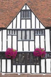 Exterior & Gardens